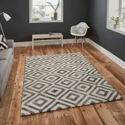 Grey And White Elegant 4893 Rug