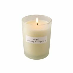 The Edited Life Soy Wax Blend Mint Candle -Modern Rugs Home 30716615 alt03