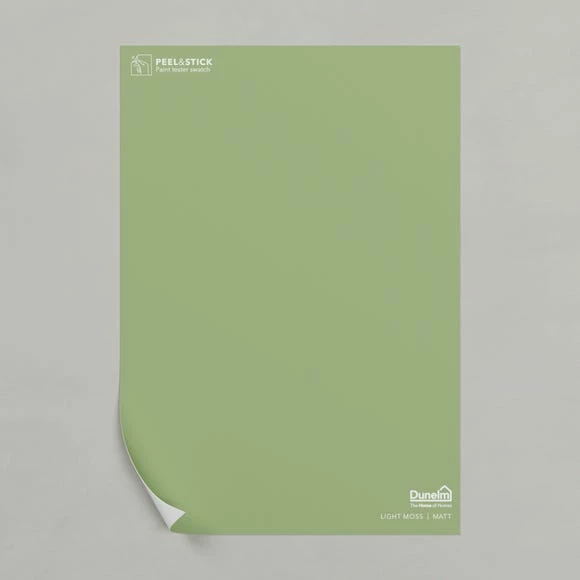 Dunelm Light Moss Matt Emulsion Paint 4 Dunelm Light Moss Matt Emulsion Paint - Image 2
