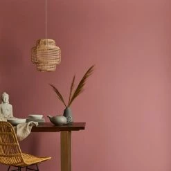 Dunelm Rose Matt Emulsion Paint
