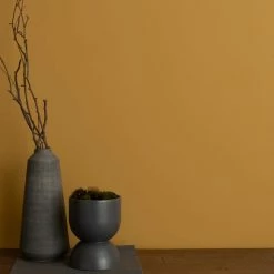 Dunelm Old Gold Eggshell Emulsion Paint -Modern Rugs Home 30741223 alt03