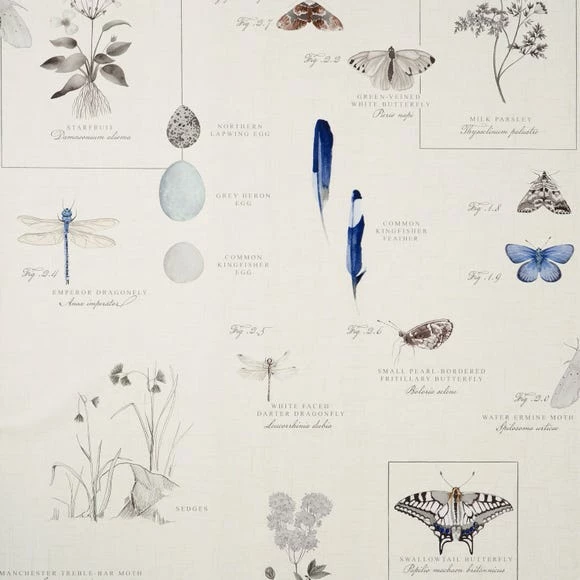 Natural History Museum Nature’s Study White Wallpaper 4 Natural History Museum Nature’s Study White Wallpaper - Image 2