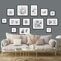 Dunelm Botanical Gallery Wall Grey Mural