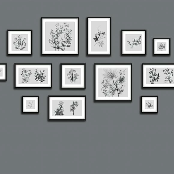 Dunelm Botanical Gallery Wall Grey Mural 6 Dunelm Botanical Gallery Wall Grey Mural - Image 4