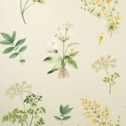 Natural History Museum Marsh Botanical White Wallpaper 7 Natural History Museum Marsh Botanical White Wallpaper -Modern Rugs Home 30782969 alt01