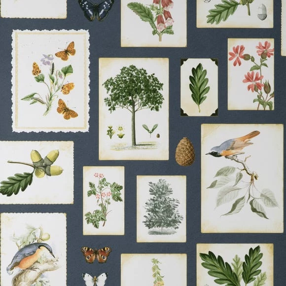 Natural History Museum Woodland Journal Wallpaper 4 Natural History Museum Woodland Journal Wallpaper - Image 2