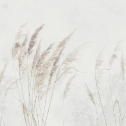 Dunelm Pampas Grass Mural 11 Dunelm Pampas Grass Mural -Modern Rugs Home 30792516 alt04