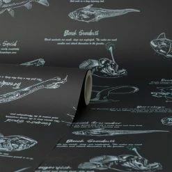 Natural History Museum Sea Creatures Wallpaper -Modern Rugs Home 30796978 alt02