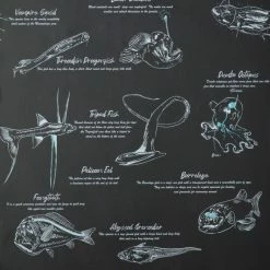 Natural History Museum Sea Creatures Wallpaper -Modern Rugs Home 30796978 alt03